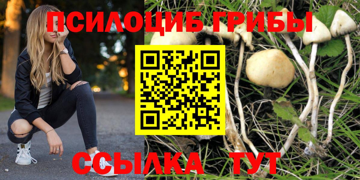 Галлюциногенные грибы Cubensis Аргун