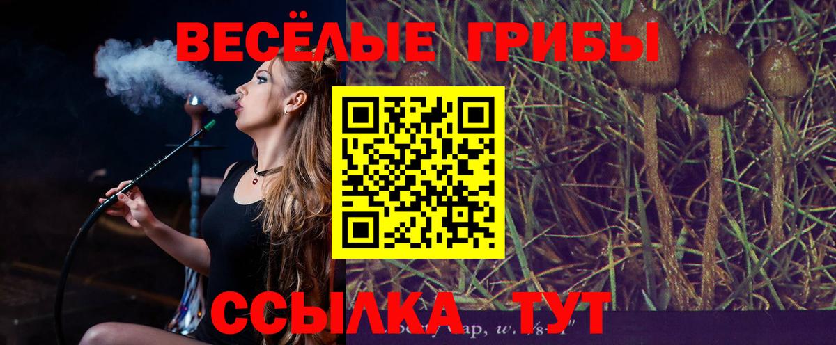 Псилоцибиновые грибы Cubensis  дарнет шоп  Аргун  Вход с VPN  Галлюциногенные грибы Magic Shrooms 